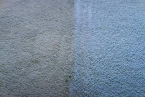 Before and after carpet cleaning 5