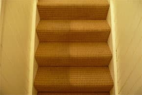 Before and after carpet cleaning 9